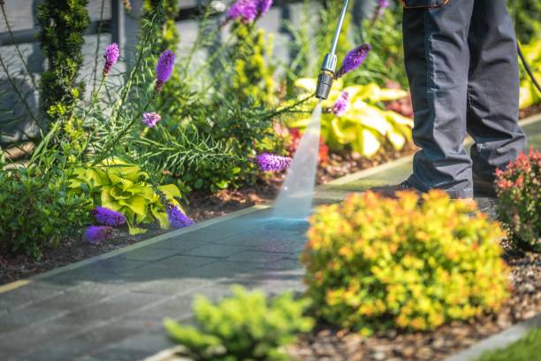 Trusted Harbor Beach, MI Pressure Washing Services Experts